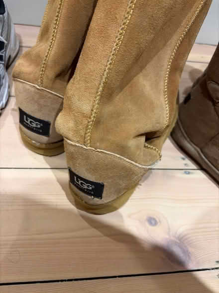 Photo of free Five pair of size 6 shoes (BN41) #3