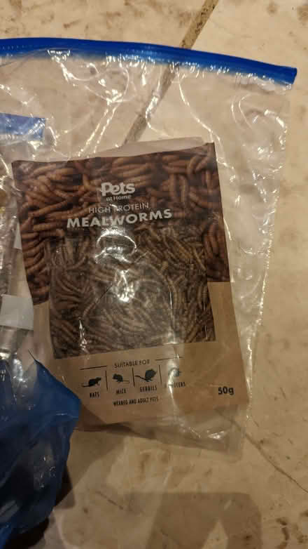 Photo of free Small animal food (Queens Park MK40) #3