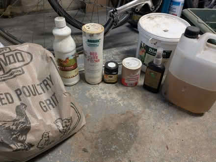 Photo of free Chicken grit, diatoms, other bits (Northwood HA6) #1