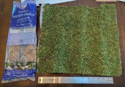 Photo of free Artificial moss mat (94040) #1
