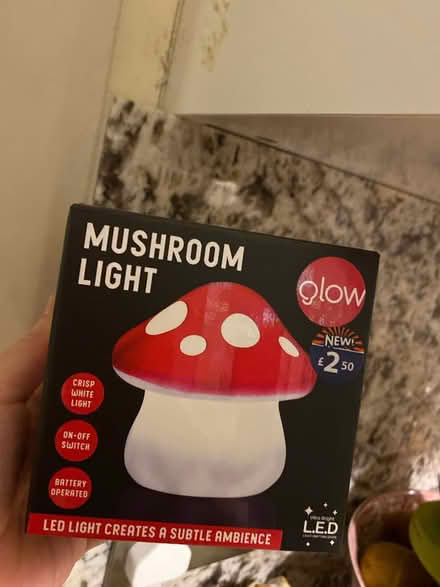Photo of free Mushroom led light (AL4, St albans) #1