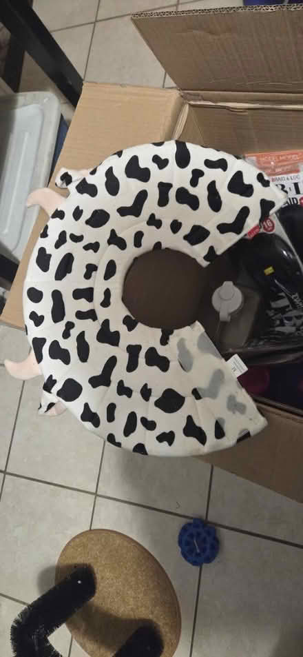 Photo of free Pet items (Upper Darby) #1