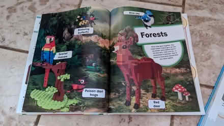 Photo of free Two Lego books (Queens Park MK40) #3