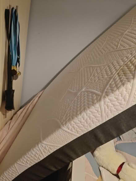 Photo of free Single foam mattress and bed frame (Belmayne) #1