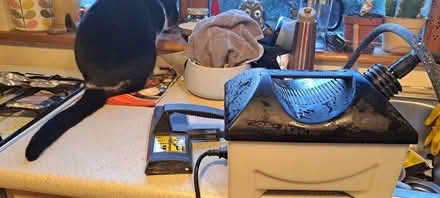 Photo of free Steam wallpaper remover, Dublin 14 (Dublin 14) #2