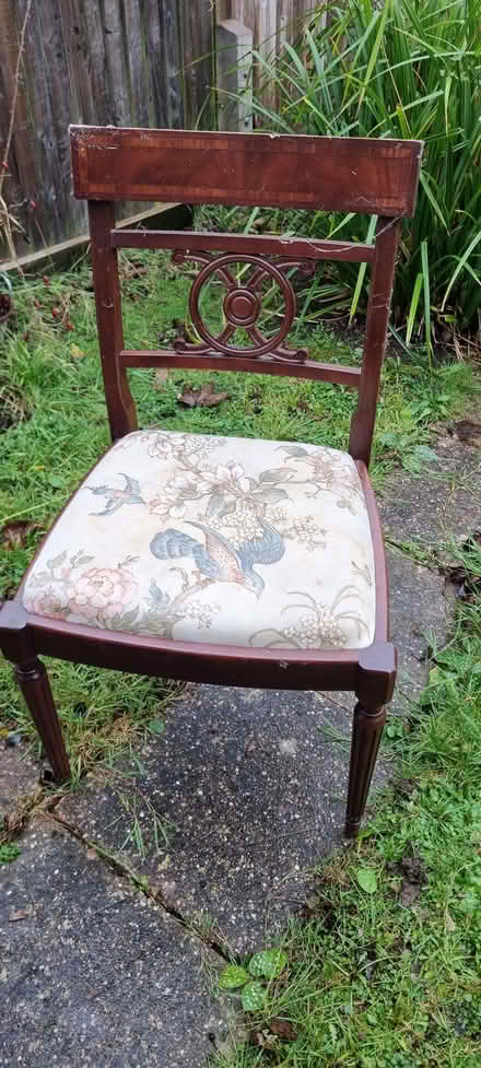 Photo of free 3 x Dining Room Chairs (Ravensbourne BR1) #2