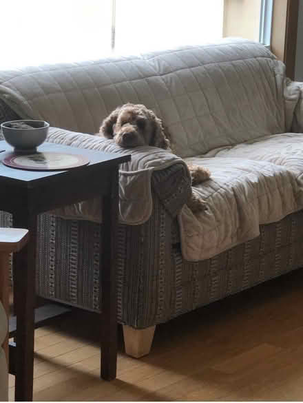 Photo of free Couch covers dog-proof (Linda Mar area, Pacifica) #3