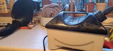 Photo of free Steam wallpaper remover, Dublin 14 (Dublin 14) #1