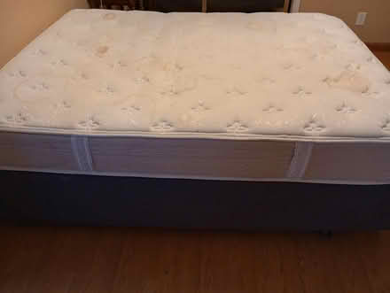Photo of free mattress and chairs (Crestview Bluff) #1