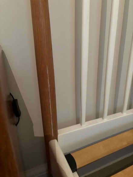 Photo of free Single bed with or without mattress (Hill Brow GU33) #4