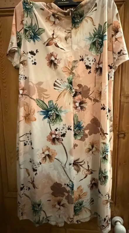 Photo of free Chiara Polli Dress XL (Size 16-20) (New Southgate, N11) #1