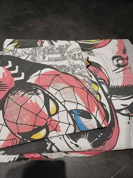 Photo of free Spider man single duvet (Bengeo SG14) #1