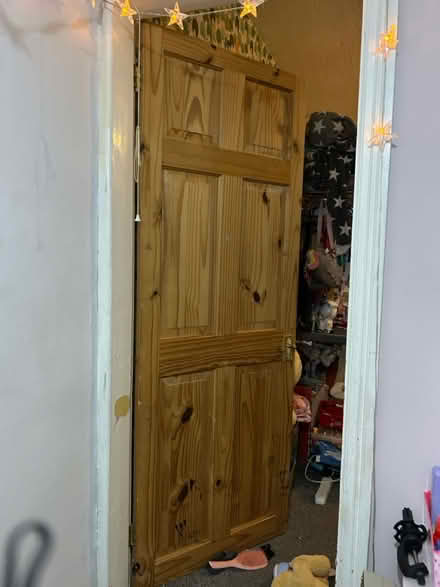 Photo of free 2 internal doors (WR2 St John’s) #1