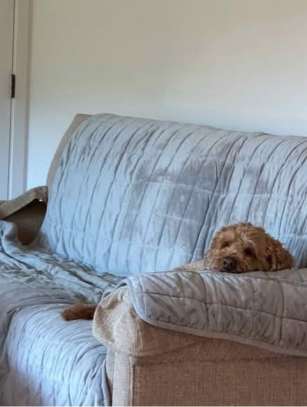 Photo of free Couch covers dog-proof (Linda Mar area, Pacifica) #2