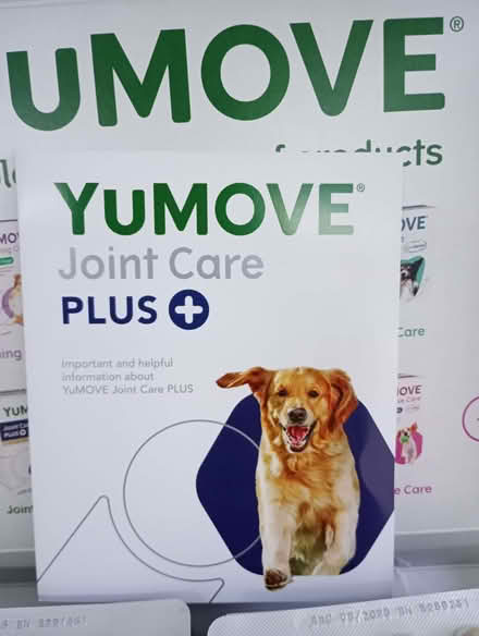 Photo of free YuMove for dogs (Heswall CH61) #2
