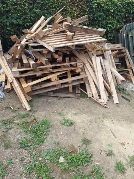 Photo of free Fire wood plywood bit for burning (S21) #3