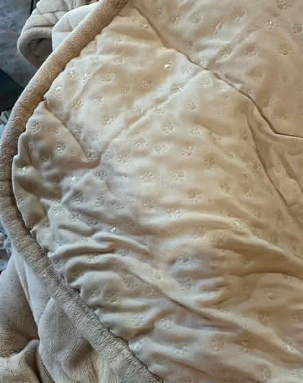 Photo of free Couch covers dog-proof (Linda Mar area, Pacifica) #1