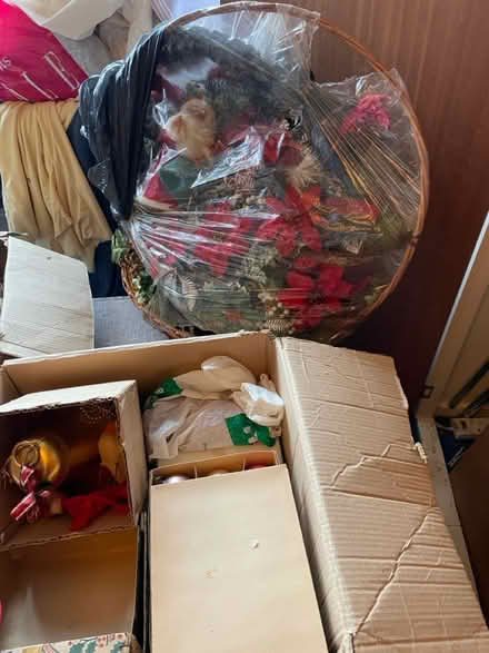 Photo of free Christmas 2026 (Sudbury Hill Harrow Greenford) #3