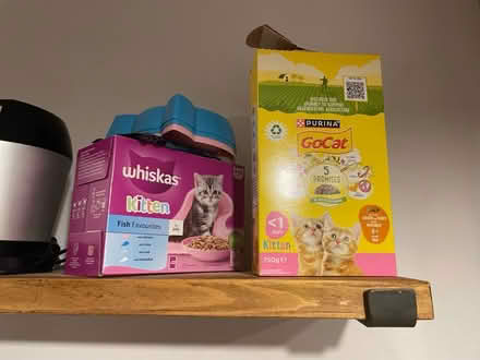 Photo of free Wet and dry cat food (Wood Green) #1