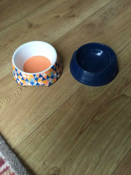 Photo of free Cat food/water bowls (Mitcham CR4) #1