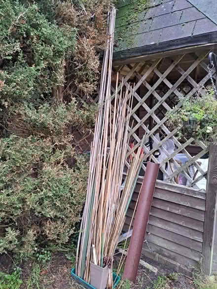 Photo of free Garden canes (Church Crookham GU52) #2