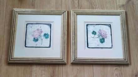 Photo of free Two floral pictures in frames (Garstang PR3) #1