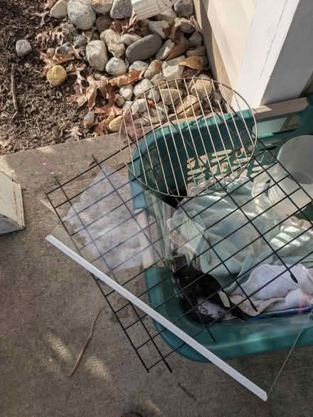 Photo of free Assorted kitchen/dining stuff (Robbinsville) #3