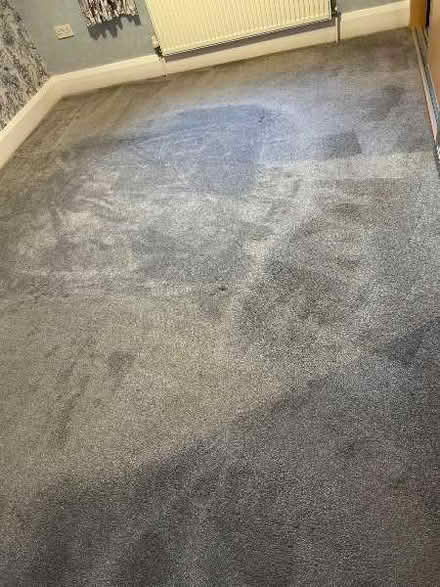 Photo of free Grey carpet (Claughton CH43) #1