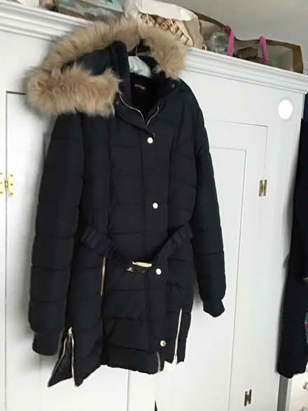 Photo of free Thick coqt (Burford OX18) #1