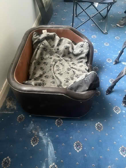 Photo of free Dog Bed (Penrith CA11) #2