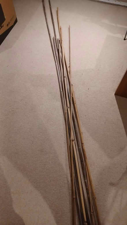 Photo of free Long Bamboo Sticks - Up to 3m (Paddington W2) #1