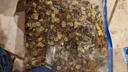 Photo of free Small animal food (Queens Park MK40) #4