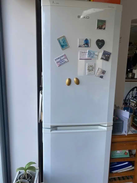 Photo of free Fridge/freezer (Walditch ,Bridport) #1