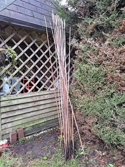 Photo of free Garden canes (Church Crookham GU52) #1