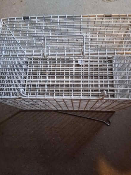 Photo of free Cat basket (NR20) #1