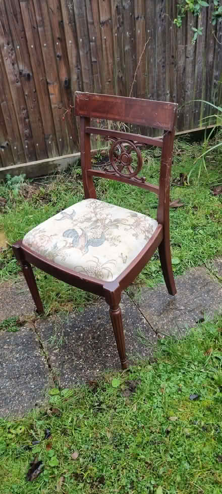 Photo of free 3 x Dining Room Chairs (Ravensbourne BR1) #1