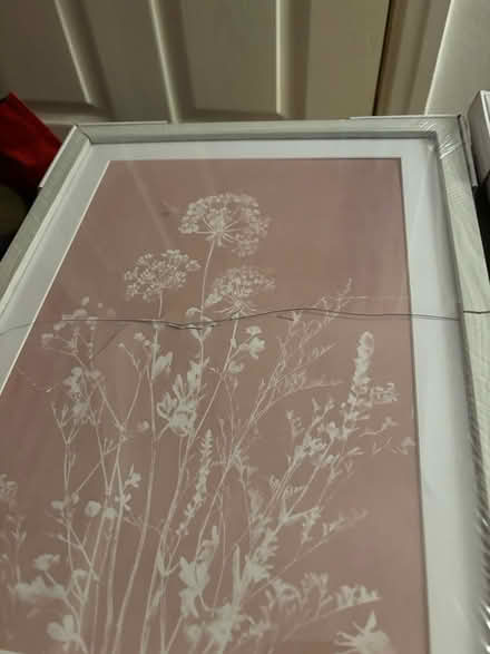 Photo of free Picture frames broken art prints (Cheadle hulme SK8) #3