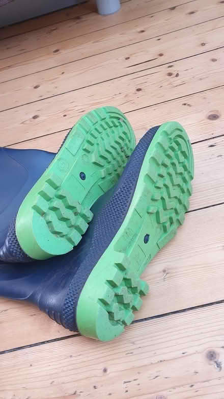 Photo of free Wellies size 5 (Paignton TQ3) #2