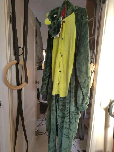 Photo of free Dinosaur onesie (medium) (Leeds LS13) #1