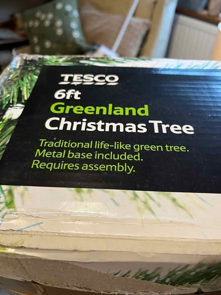 Photo of free Christmas Tree (CO11) #2