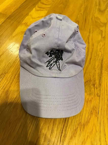 Photo of free Lavender Cap with veggie motif (Porter Square) #1