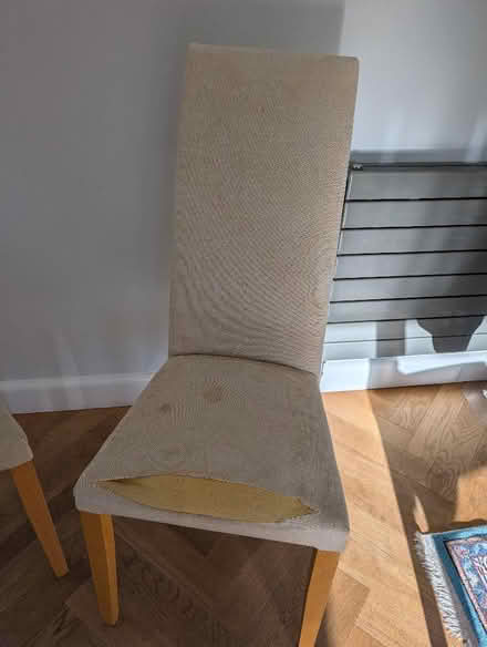 Photo of free Eight Heals dining chairs (Sydenham SE26) #3