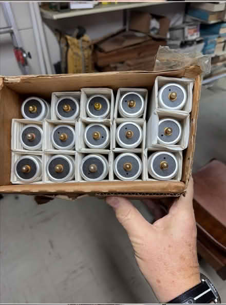 Photo of free Box of 15, 6ft Flor. Bulbs (ITP-Buckhead Margaret Mitchell) #1