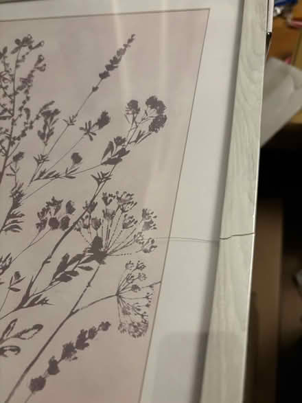 Photo of free Picture frames broken art prints (Cheadle hulme SK8) #2