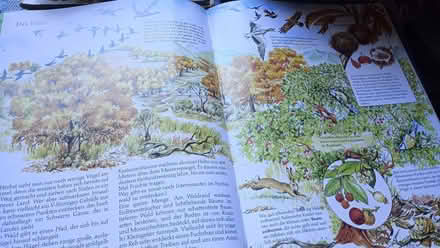 Photo of free 2 german kids books (Chapeltown LS7) #2