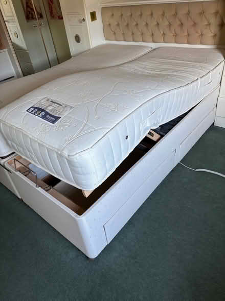 Photo of free Electric double bed (Talbot Woods BH4) #3
