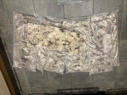 Photo of free Possible animal bedding (Troy Town ME1) #2