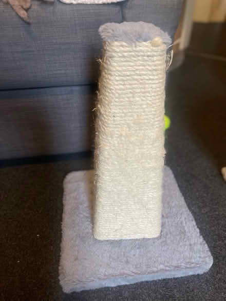 Photo of free Cat tree & cat scratching pole (Cardonald, Glasgow, G52) #3