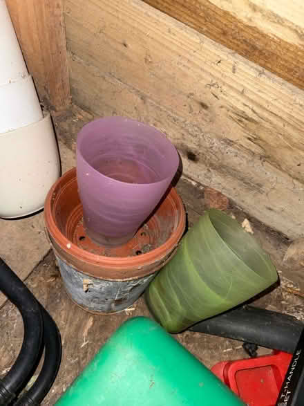 Photo of free Plant pot assortment (Halstead CO9) #1