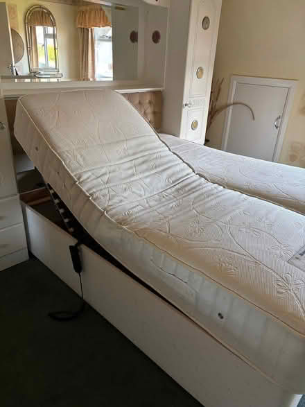 Photo of free Electric double bed (Talbot Woods BH4) #4